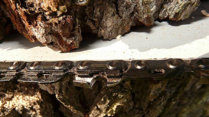 Benznov motorov pla.