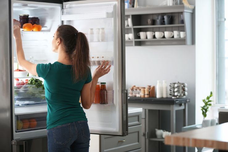 Ako vybrať chladničku s mrazničkou dole? 