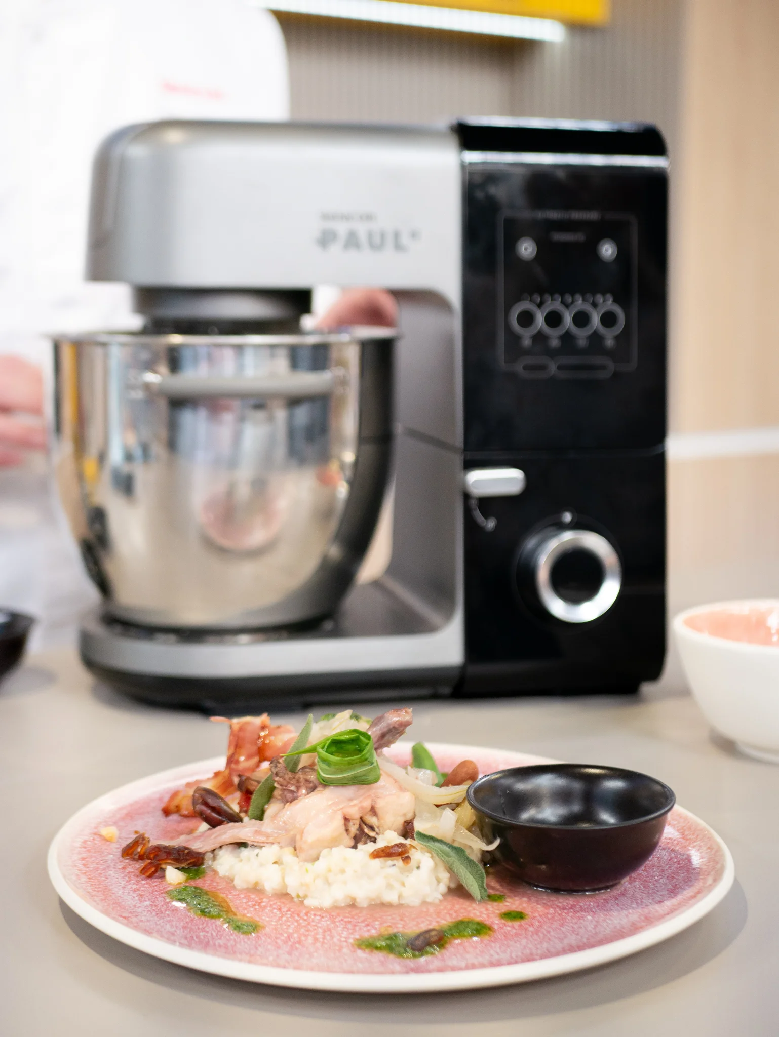 fricassee-zo-zajaca-a-sencor-robot