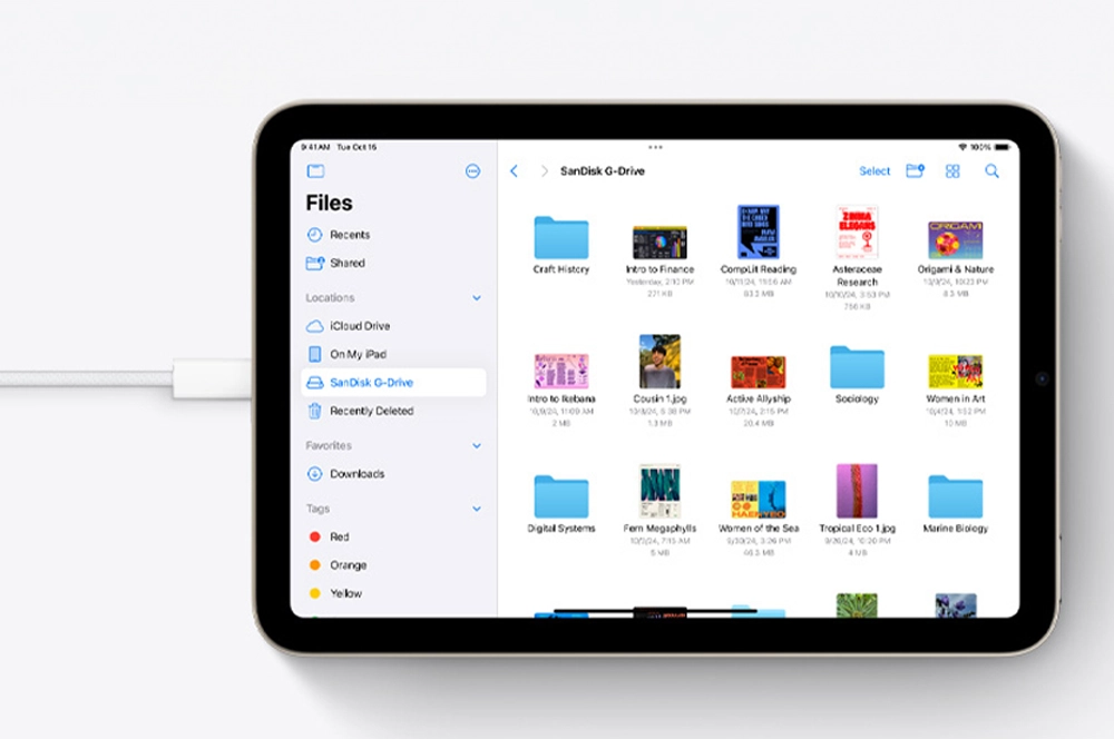 Apple iPad mini m nabjanie prostrednctvom USB-C.
