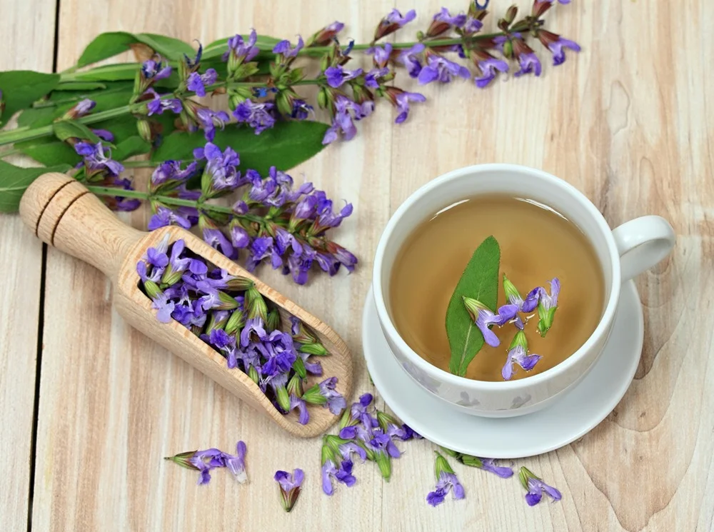 Bylinky-ako-skvela-volba-na-prerusovany-spanok