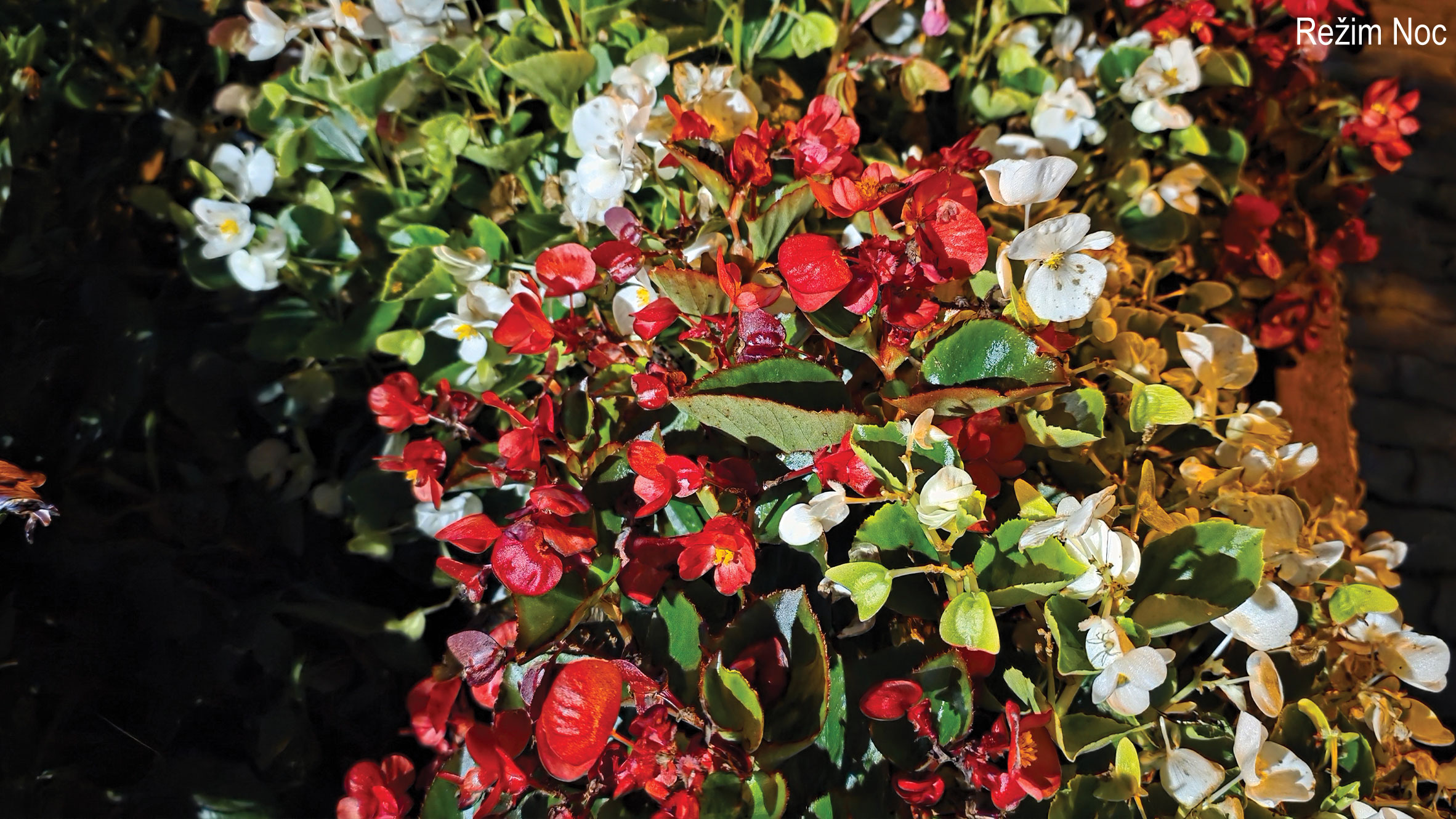 Samsung-Galaxy-S25-Ultra-rezim-noc