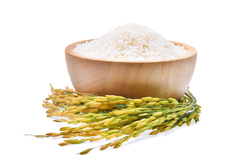 Surová ryža v drevenej miske a klas ryže